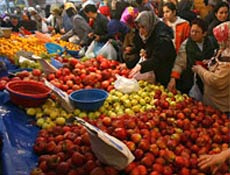 Domuz gribi sebze üreticisine yaradı