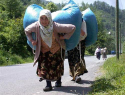 Bakanlık köye dönene para verecek!